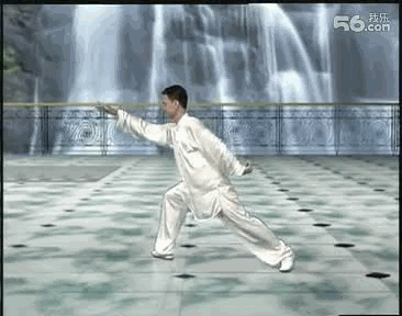 冠状动脉支架植入术