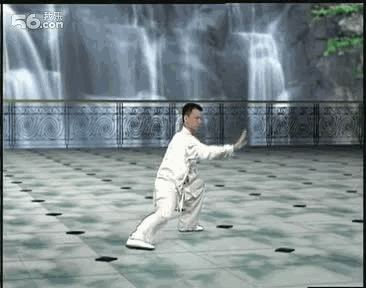 冠状动脉支架植入术